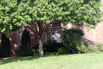 IMG_9828.jpg