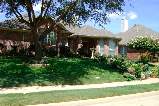 Award Winning Yard