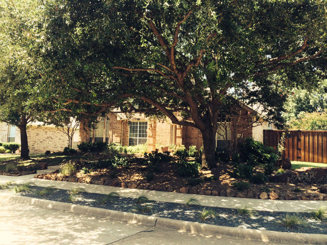 Award Winning Yard