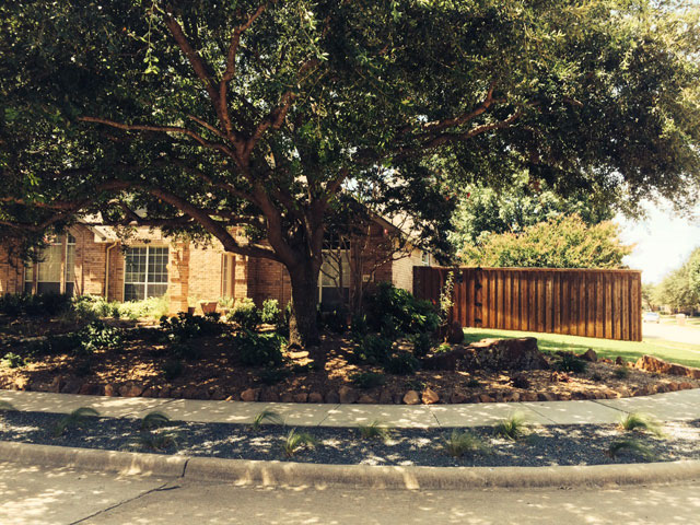 Award Winning Yard