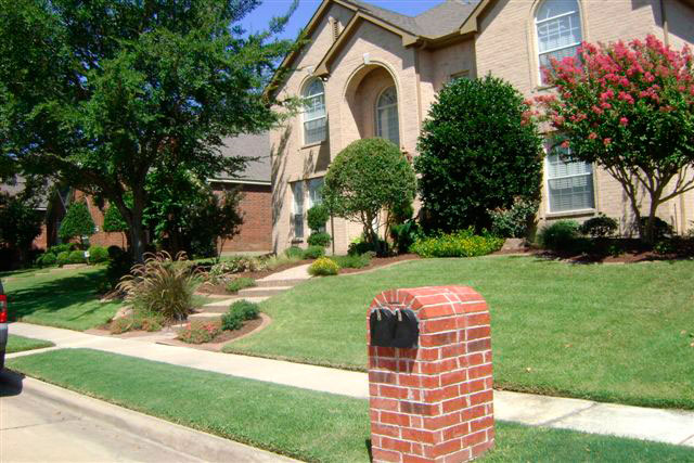 Award Winning Yard