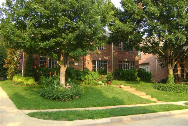 Award Winning Yard
