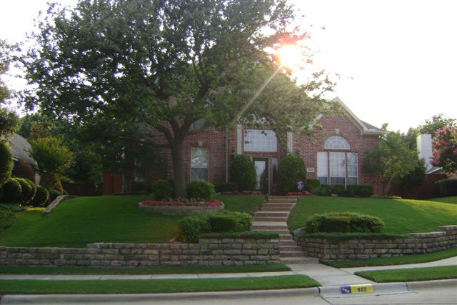 Award Winning Yard